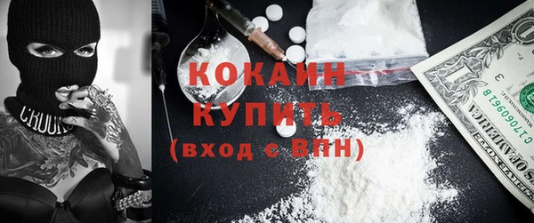 соль ск Алзамай