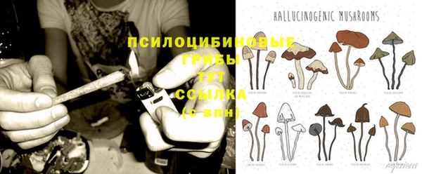 спиды Алексин